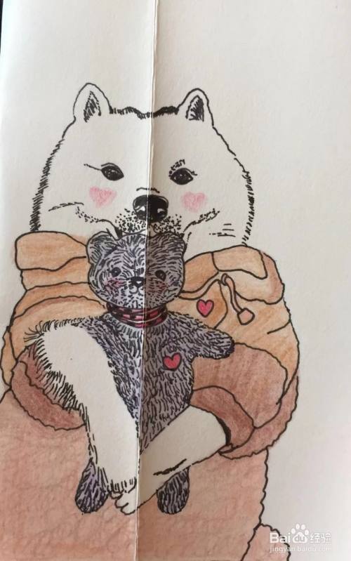 彩铅画教程之萌犬萨摩耶