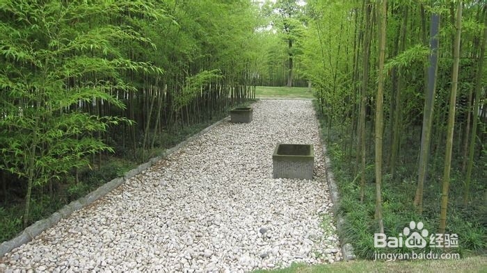 全抖音最火前十首纯音乐BGM