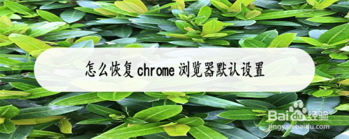 怎麼恢復chrome瀏覽器默認設置