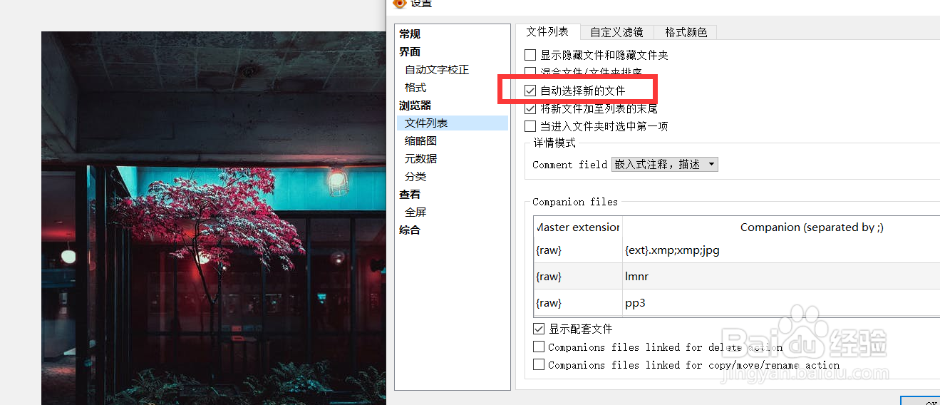 xnview如何启用选择新的文件功能