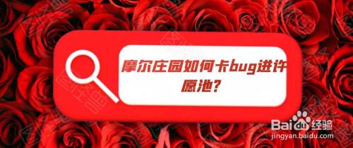摩尔庄园怎么卡bug进许愿池
