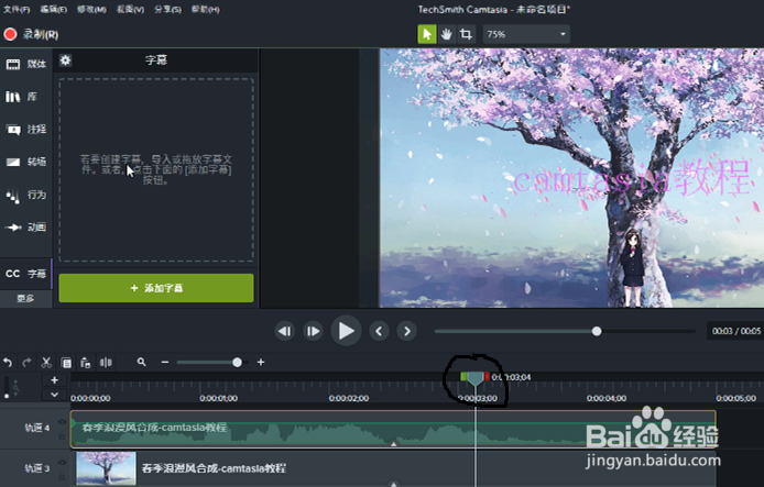 在camtasia2018中如何新建（创建）字幕？