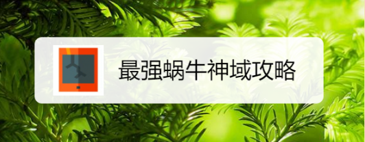 最强蜗牛神域攻略