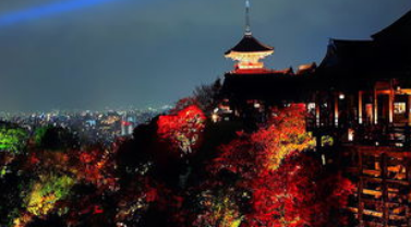 京都二日自由行攻略