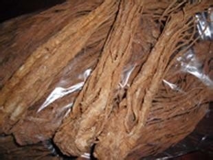 眼睛昏暗用当归：[3]血药不容舍当归