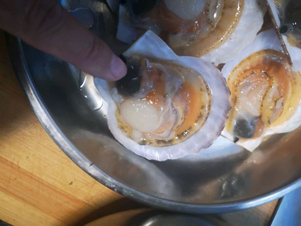 蒜蓉粉丝蒸扇贝