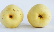 吃水果的注意事项