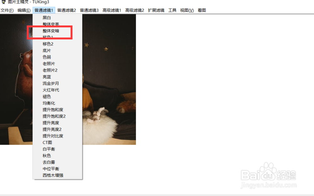 怎么用图片王精灵给图片添加整体变暗的滤镜