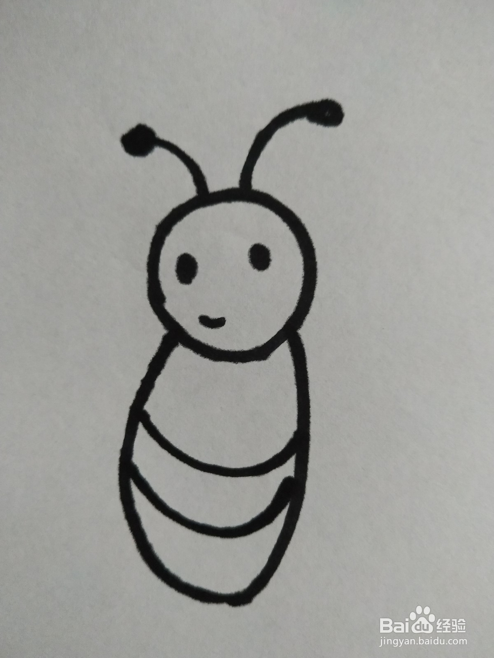 蜜蜂的简笔画技法7