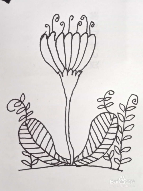 怎样画线条植物?