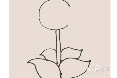 豌豆射手简笔画