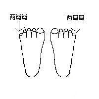 数百个你不知道的小知识：[1]