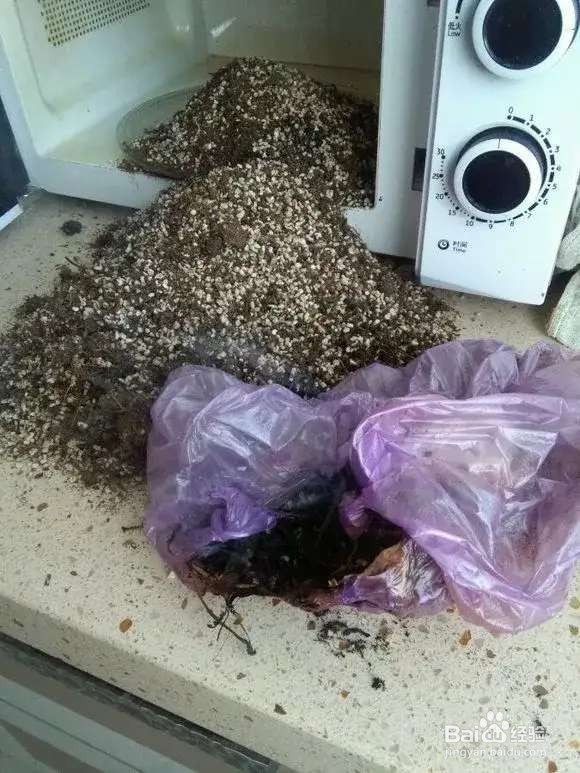 换盆旧土别扔，2个小技巧，旧土变新土！