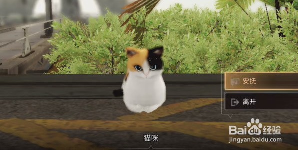 明日之后猫咪的谢礼怎么领取