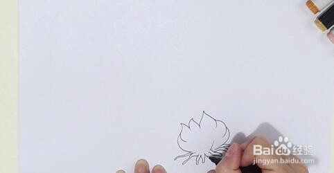 如何画水仙花