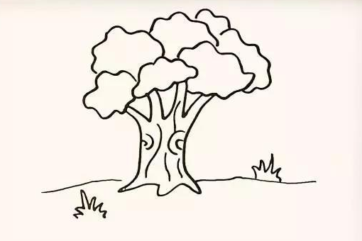 树的简笔画怎么画