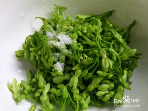 夜香花的家常做法 百度经验