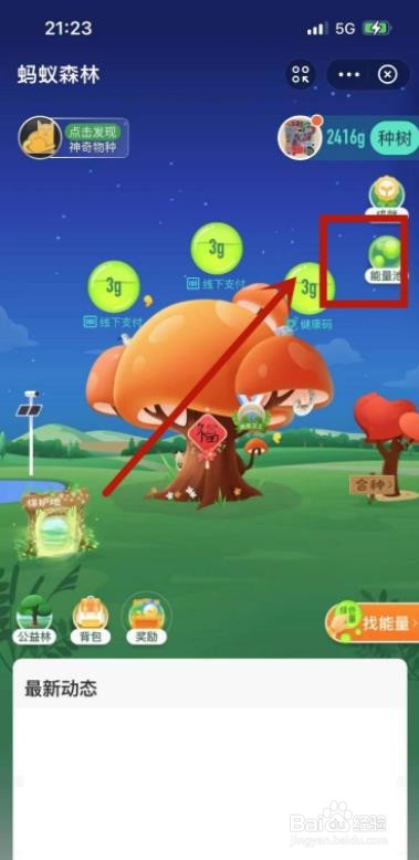 蚂蚁森林走路怎么没有能量?