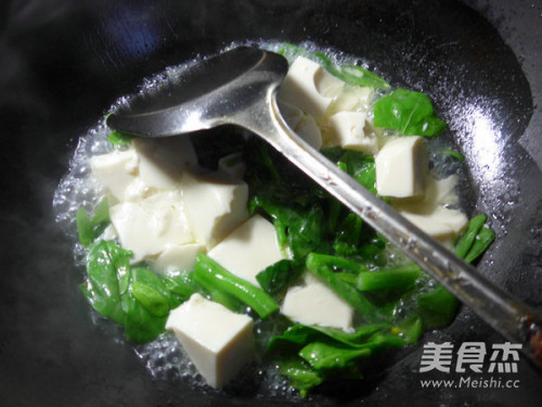 菜芯煮豆腐的做法
