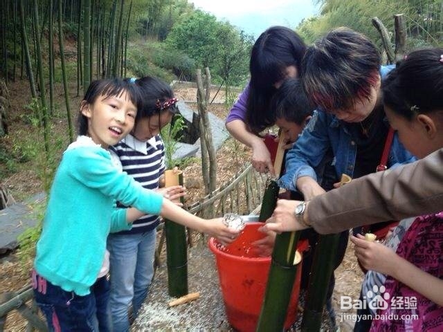 大陈农业教大家做竹筒饭