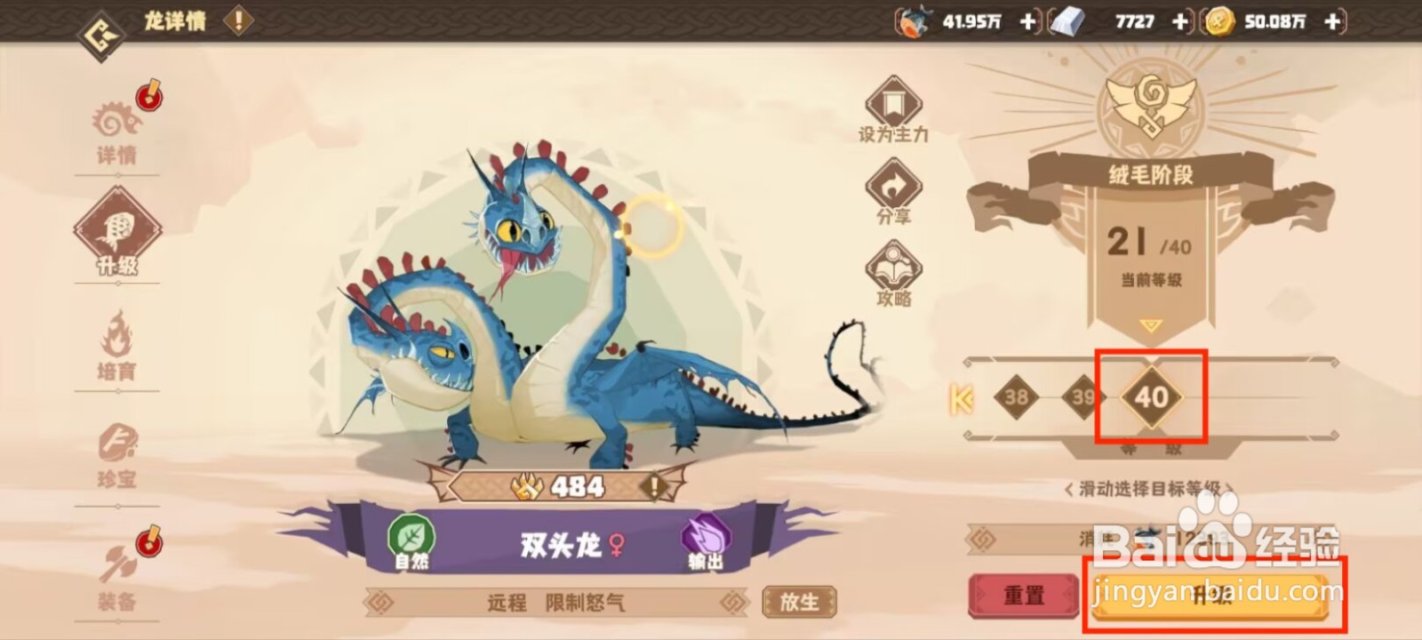 驯龙高手旅程双头龙怎么升到40级？