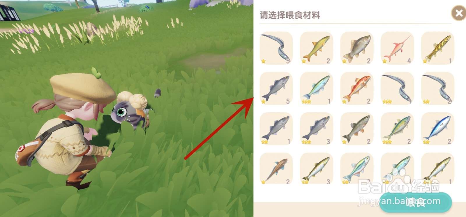 心动小镇怎么给猫咪喂鱼