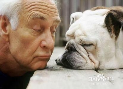 如何防止被陌生的狗追咬？