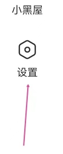 皮皮虾如何开启wifi下视频自动播放