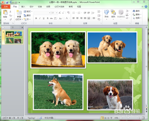 ppt中如何将多张图片修改成相同的大小