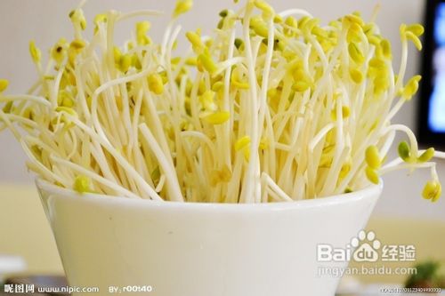 女人肚子怎么减肥？