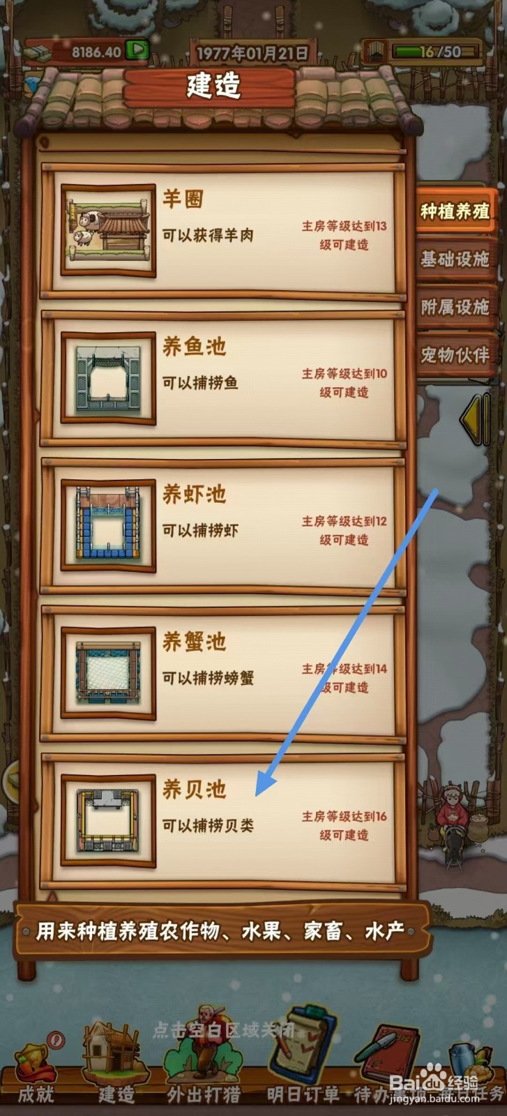 外婆的小农院怎么建造【养贝池】