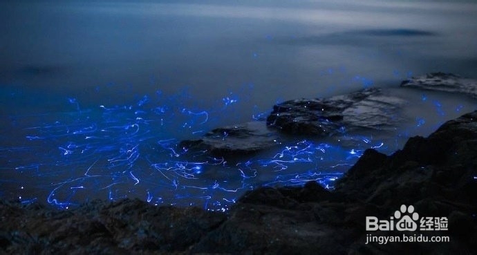 唯美的恋爱心理活动