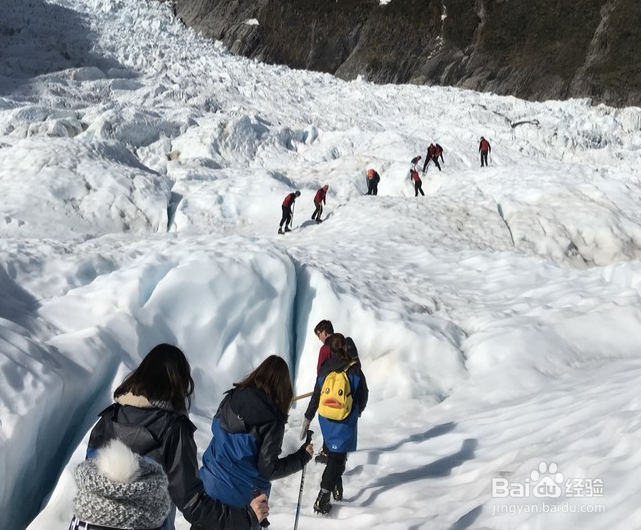 新西兰旅游攻略