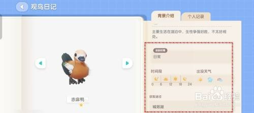 心动小镇赤麻鸭观鸟日志如何才能获得