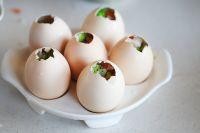 蔬菜玛瑙蒸蛋