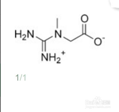 肌酸的好处与坏处