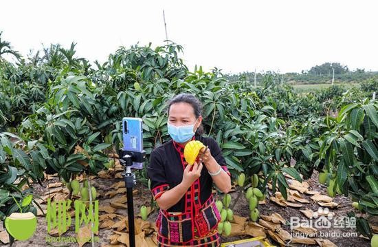 草莓怎么找销路