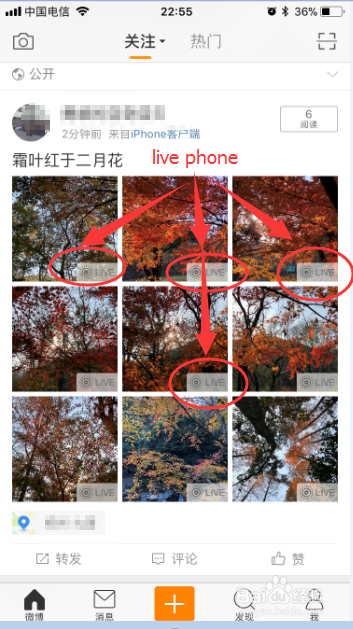 新浪微博如何发布live phone