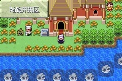 口袋妖怪金银攻略