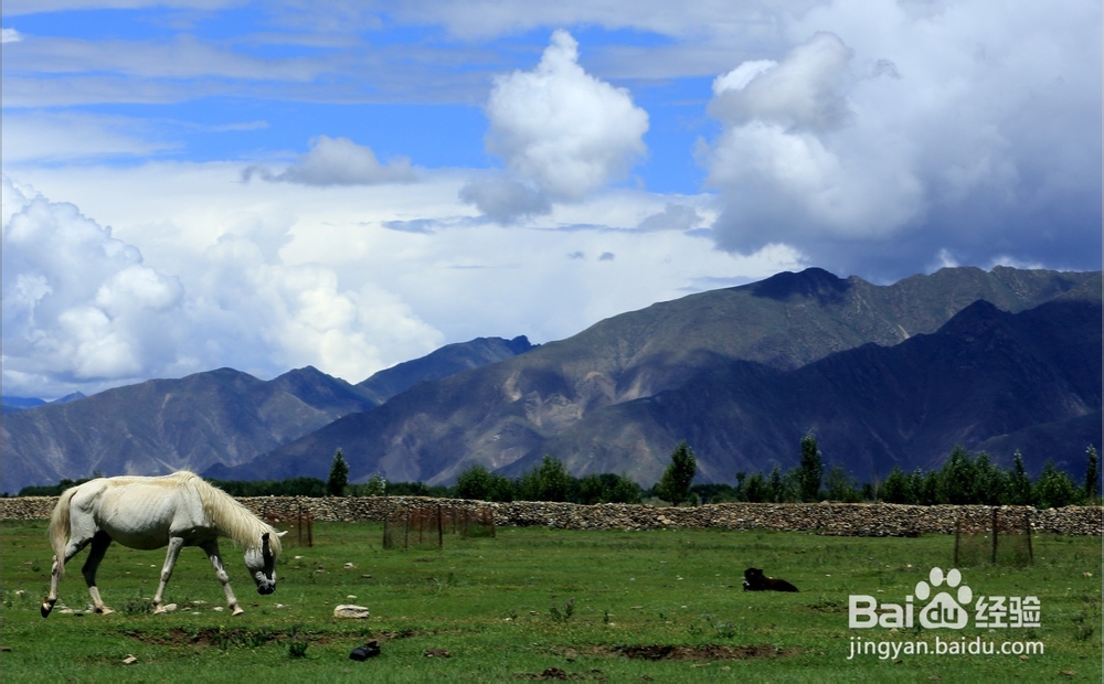 可可西里穿越两大无人区摄影团线路、攻略
