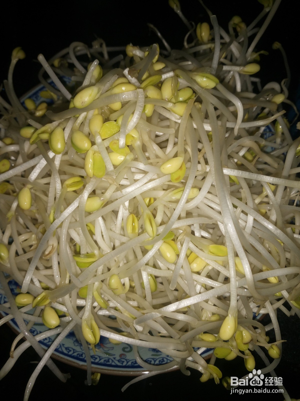 豆芽炒粉丝怎么做香喷喷