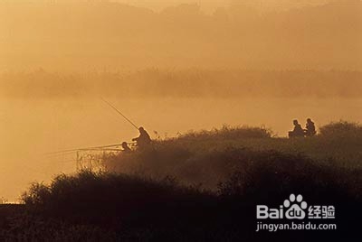在野外钓鱼怎么选择地点