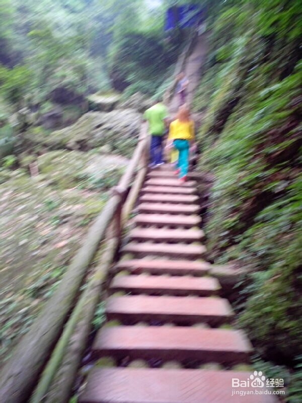 青城后山游览
