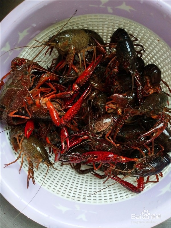 龙虾怎么做好吃？