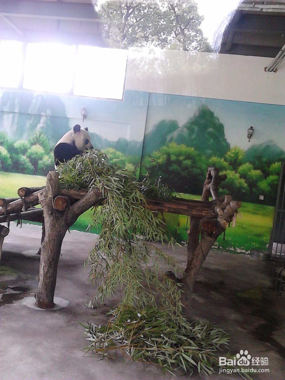 元旦节假日 如何提升景区服务质量?