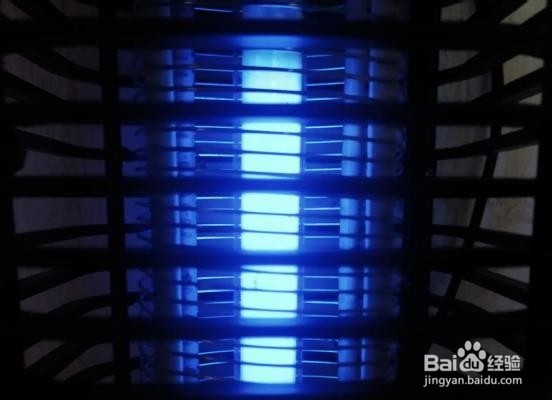 如何有效灭蚊子