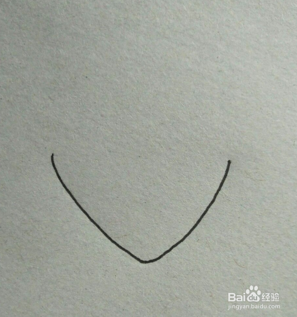 扇贝简笔画教程