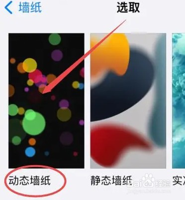 iPhone15ProMax在哪设置动态壁纸