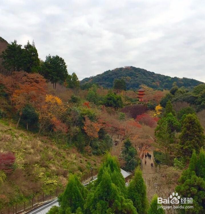 京都1日游攻略