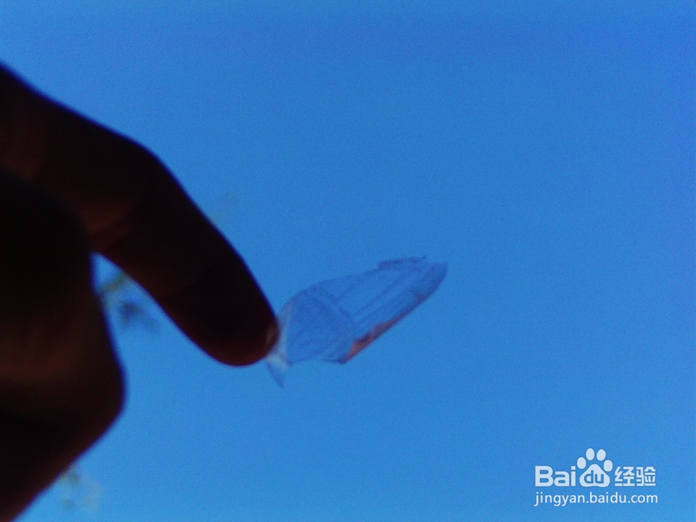 如何用指甲钳剪指甲不乱飞